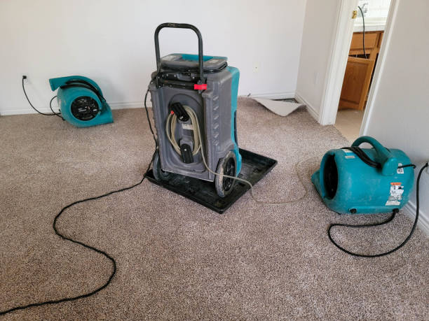 Best Water damage cleanup near me  in Taylor, AL
