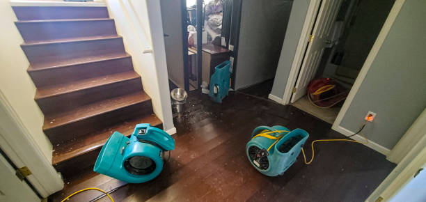 Best Flood restoration services  in Taylor, AL