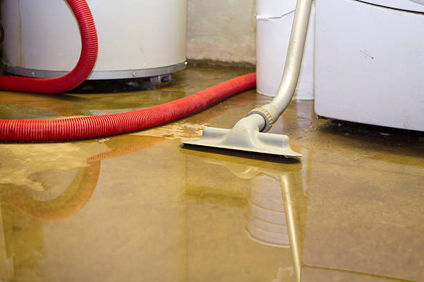 Best Flooded house restoration  in Taylor, AL