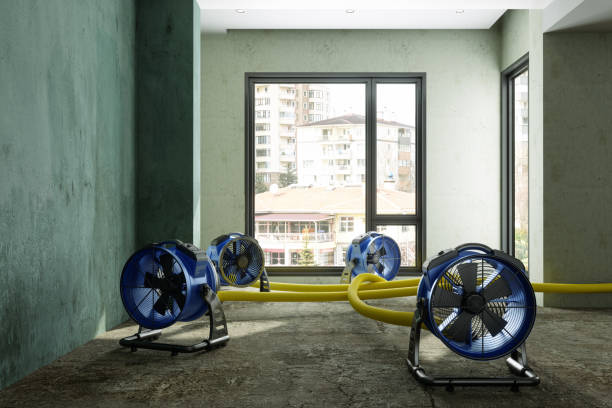 Best Water damage restoration company  in Taylor, AL